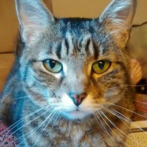 Meet your Posher, Elizabeth